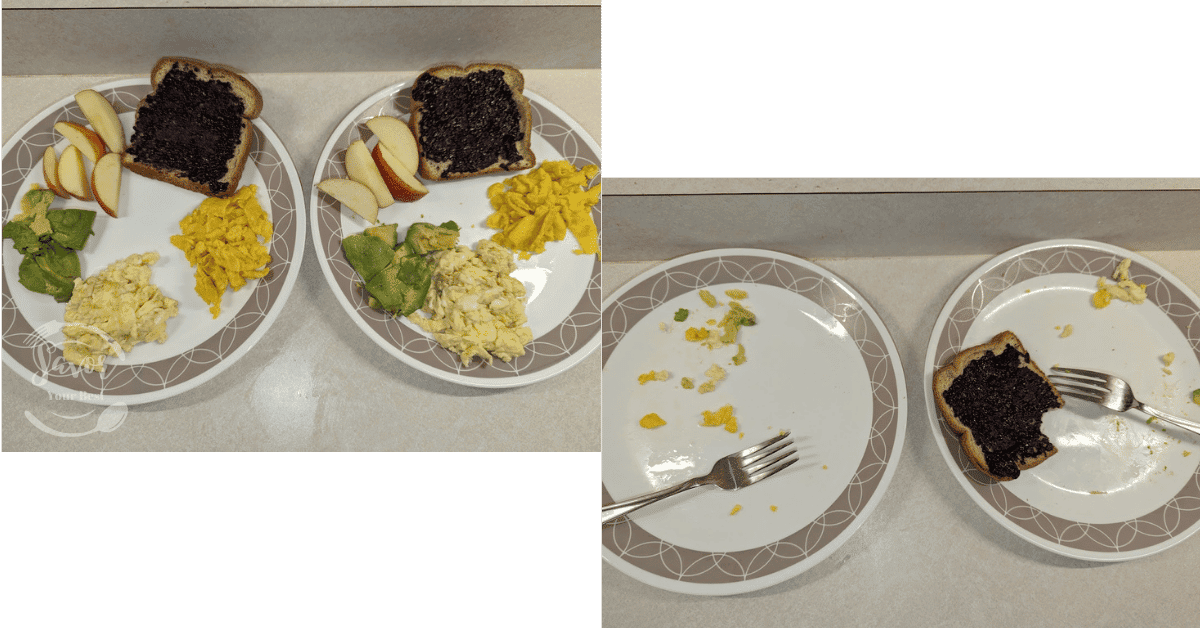 Ready Hour Freeze-Dried Scrambled Eggs (72 Servings Case) - Long Shelf Life Emergency Food