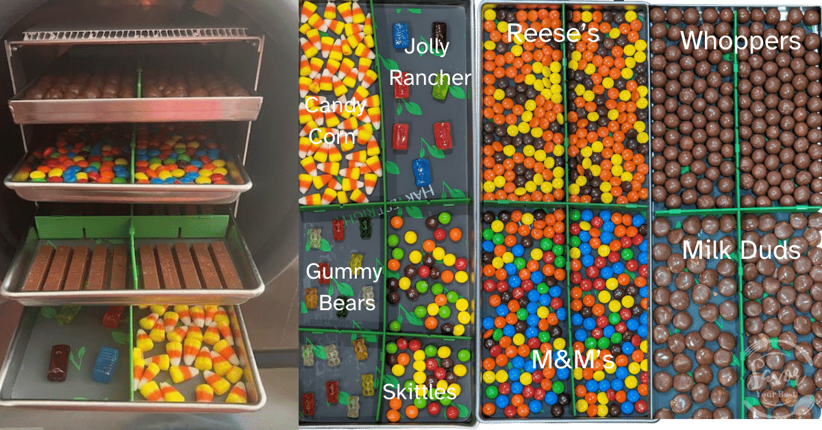 Homemade Candy Lab How to Freeze Dry Candy Savor Your Best