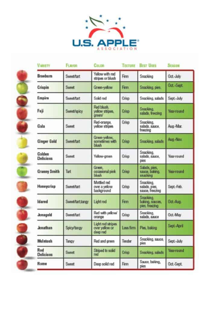 How to Freeze Dry Apples for Smart Snacking and Baking Savor Your Best