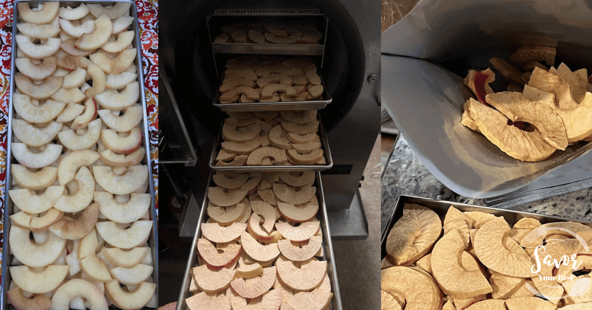 How to Freeze Dry Apples for Smart Snacking and Baking Savor Your Best