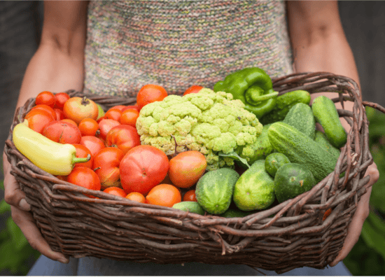 Person holding basket of seasonal produce. Fresh tomatoes, bell peppers. cucumbers and cauliflower